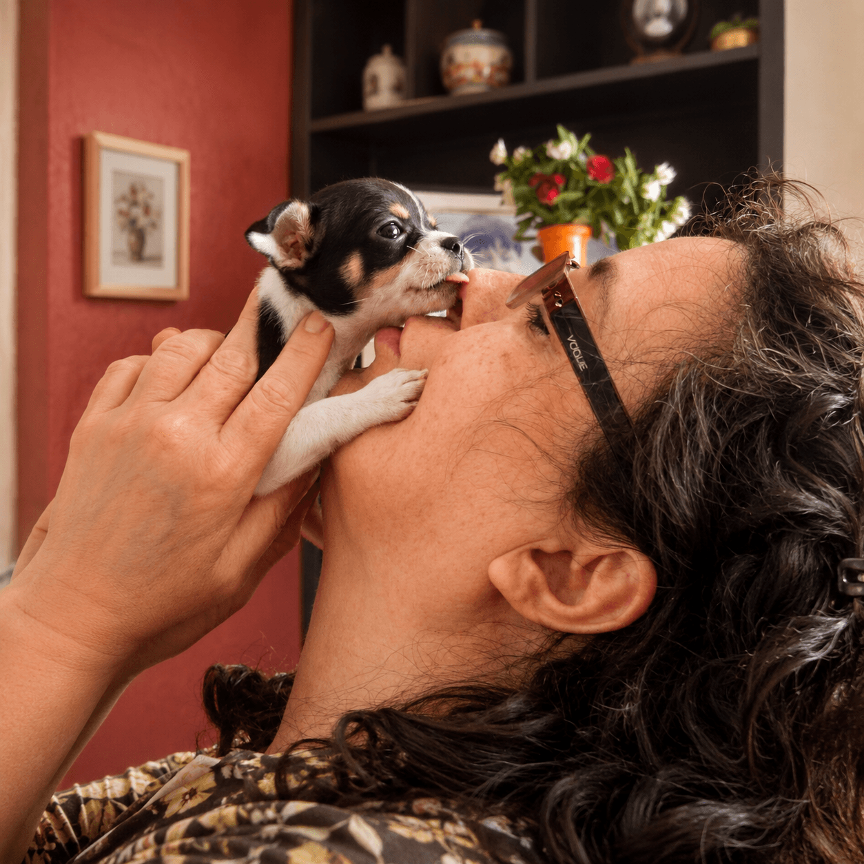 Nilza Fonseca beijando um filhote de Chihuahua do Canil Ágape
